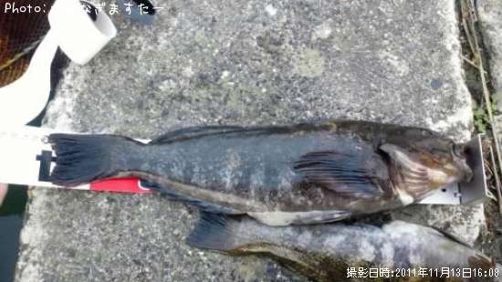 �����ʥ�