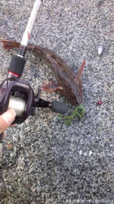 �����ʥ�