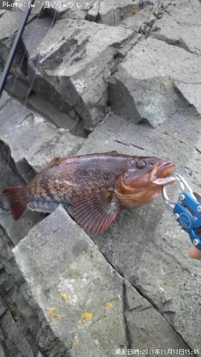 �����ʥ�