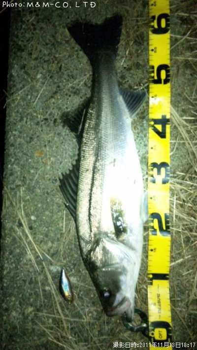 �����Х�