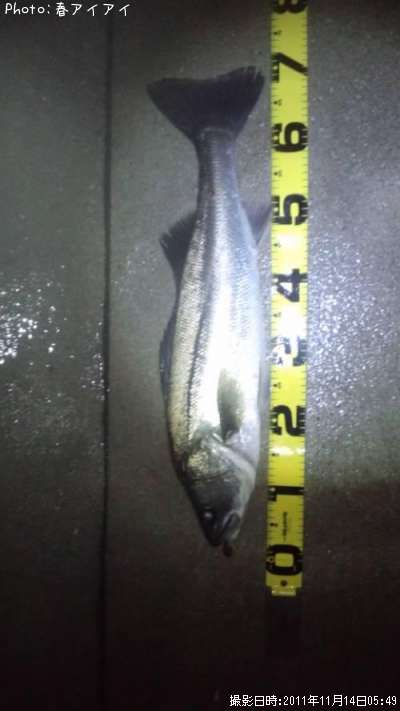 �����Х�