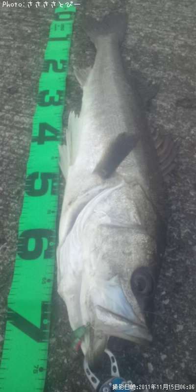 �����Х�