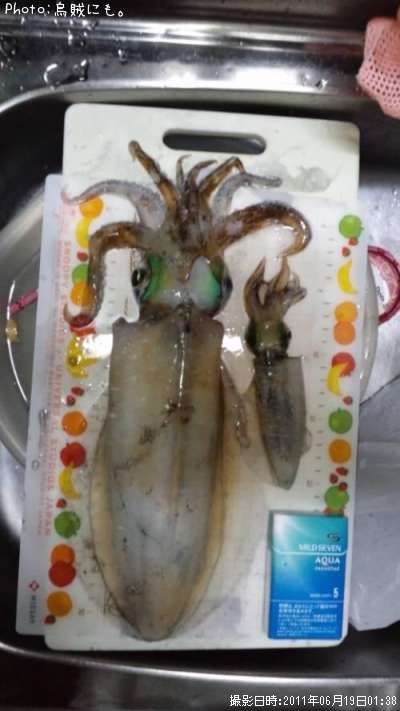 �����ꥤ��