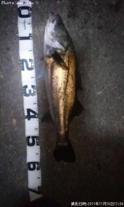 �����Х�