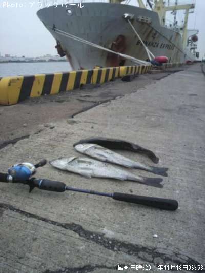 �����Х�