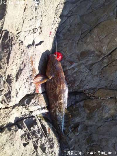 �����ʥ�