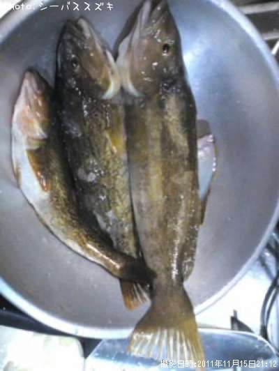 �����ʥ�