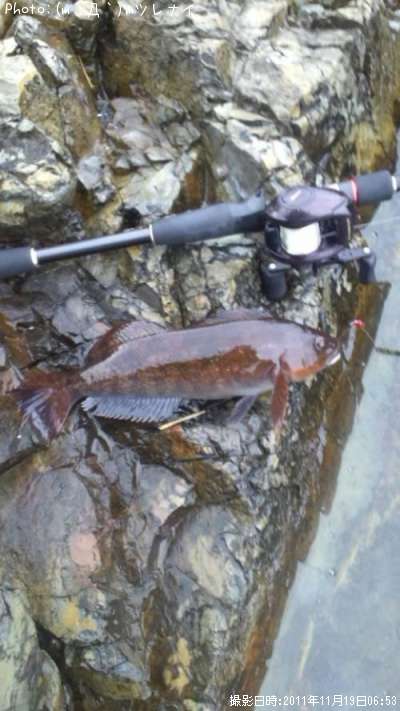 �����ʥ�