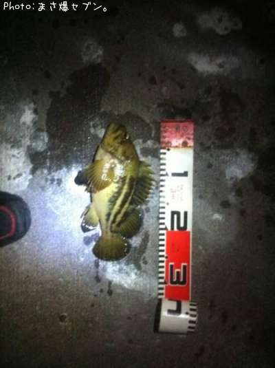 ���ޥ���