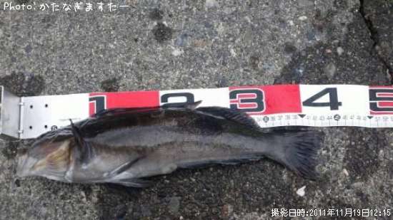 �����ʥ�