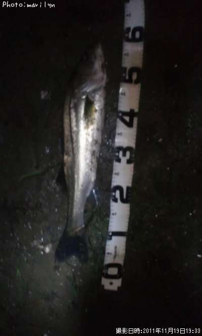 �����Х�