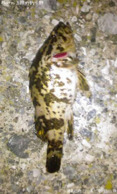 �٥å�������