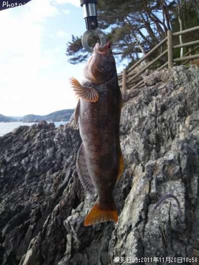 �����ʥ�