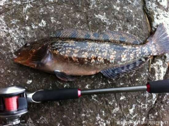 �����ʥ�