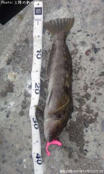 �����ʥ�