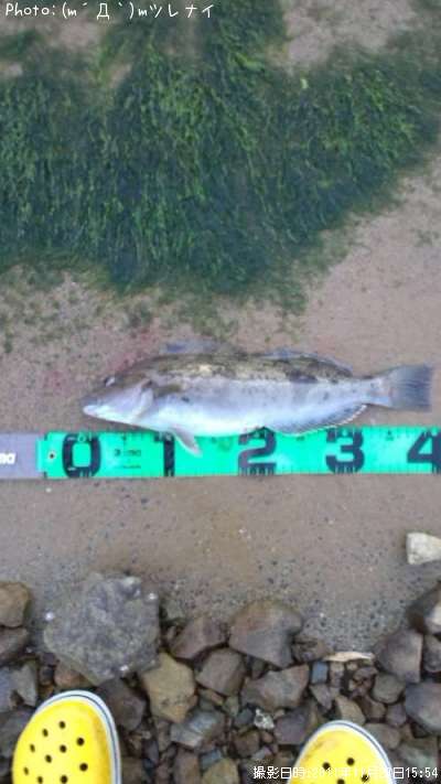 �����ʥ�