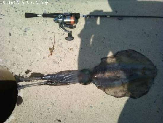 �����ꡩ����