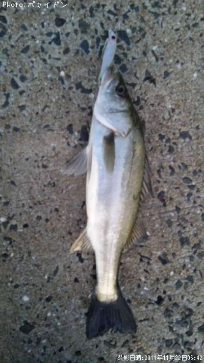 �����Х�