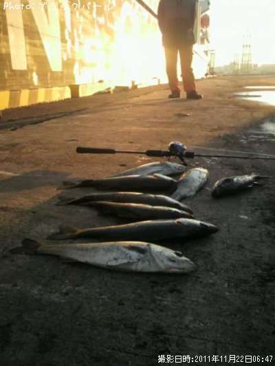 �����Х�