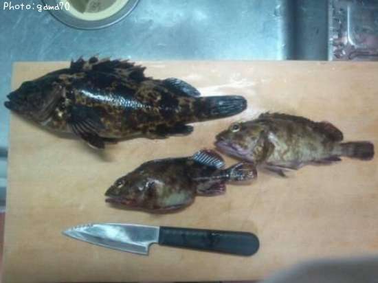 �����Υ���Х�