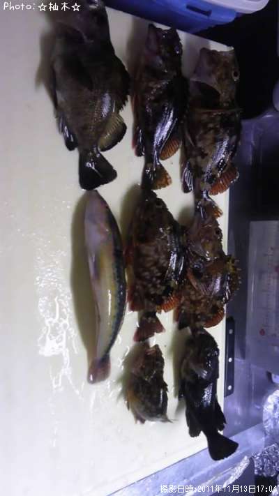 ����������Х롡���奦����