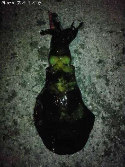 �����ꤤ��