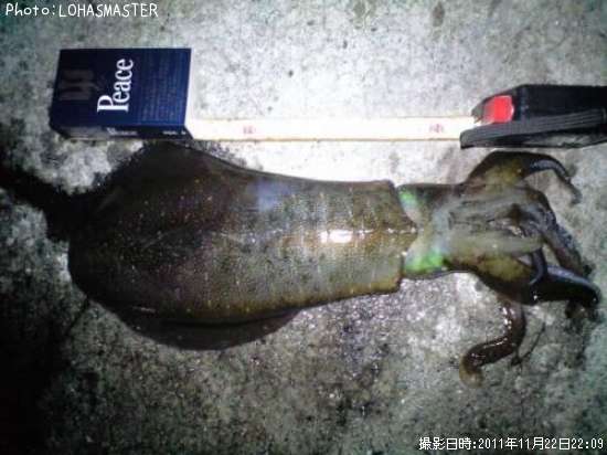 �����ꥤ��