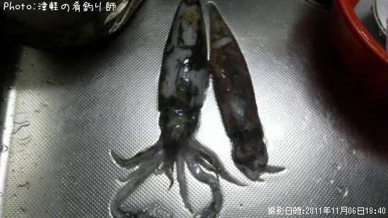 �����ꥤ��