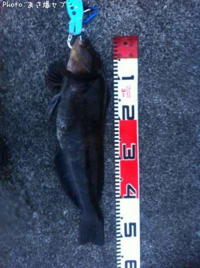 �����ʥ�