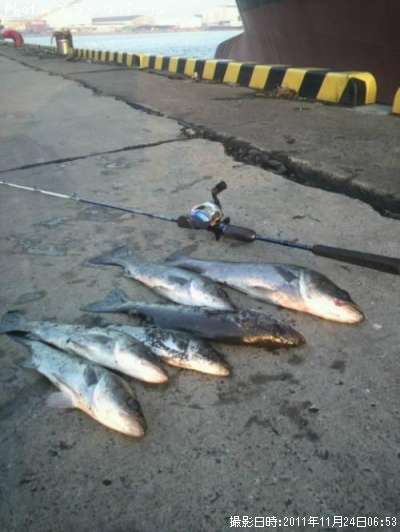 �����Х�