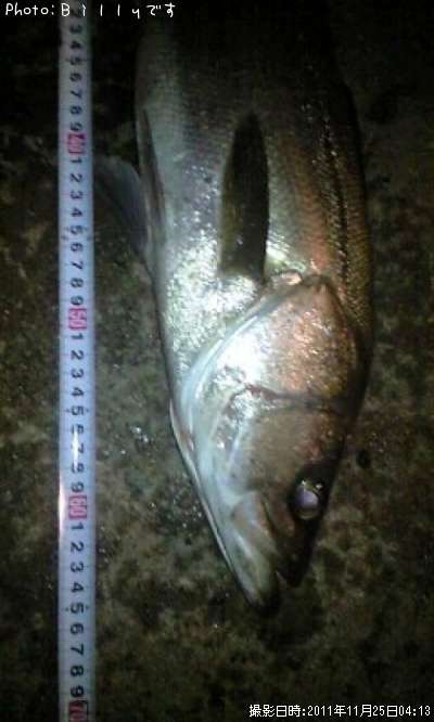 �����Х�