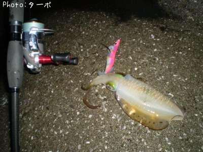 �����ꥤ��