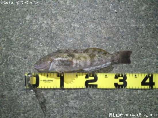 �����ʥ�