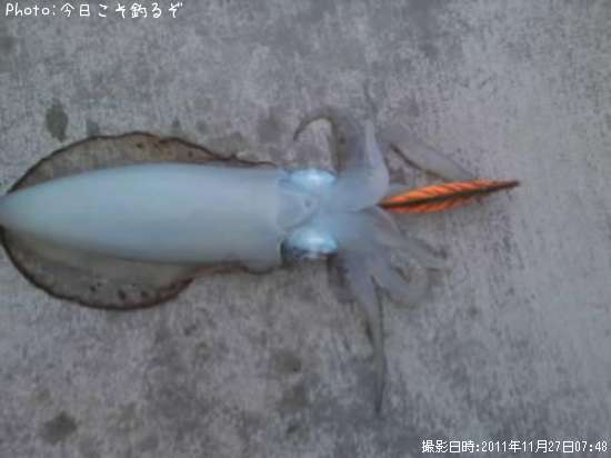 �����ꥤ��