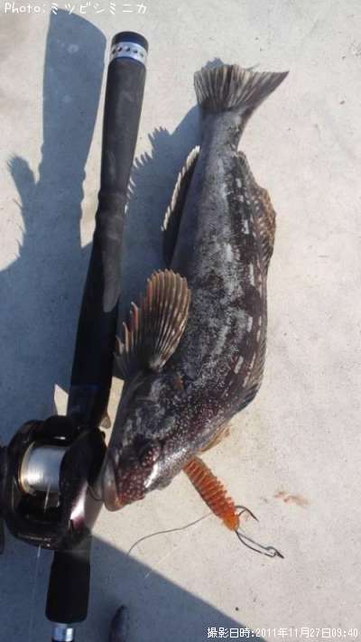 �����ʥ�