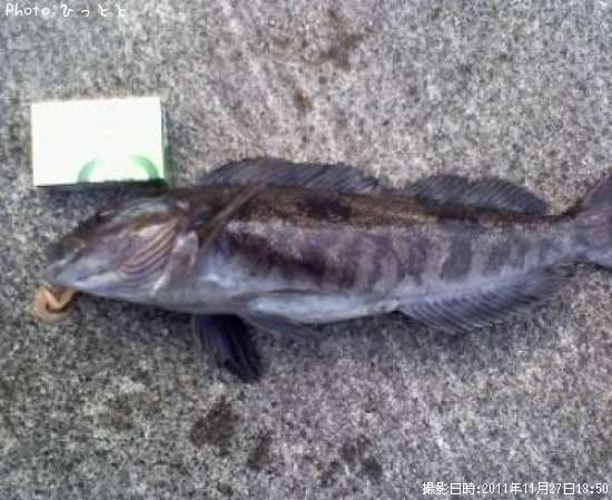 �����ʥ�