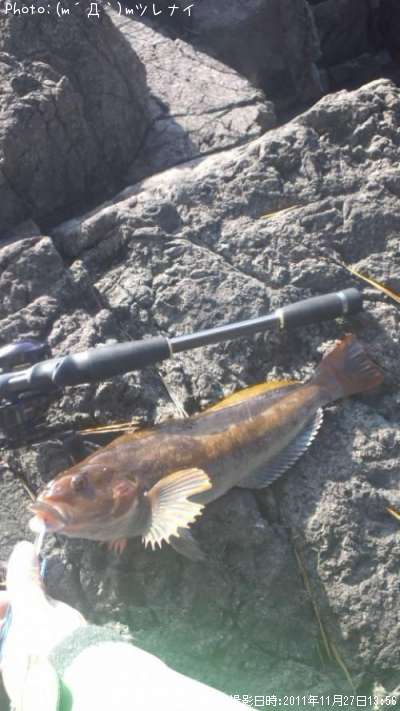 �����ʥ�