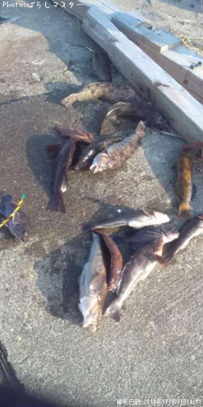 �����ʥ�