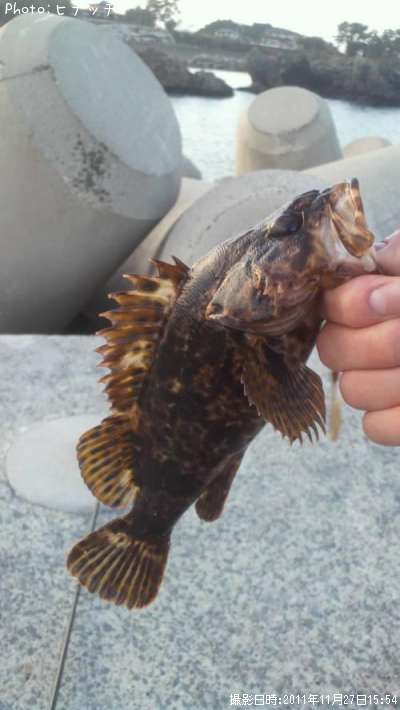 �٥å�������