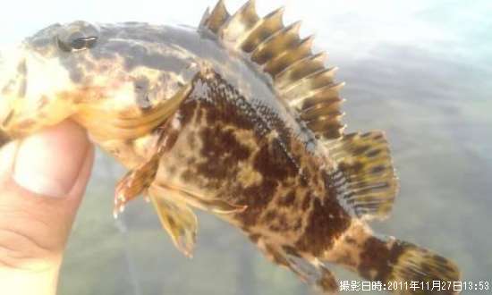 �����Υ���Х�