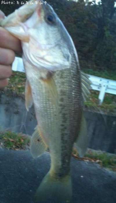 �֥�å��Х�