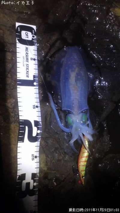 �����ꥤ��