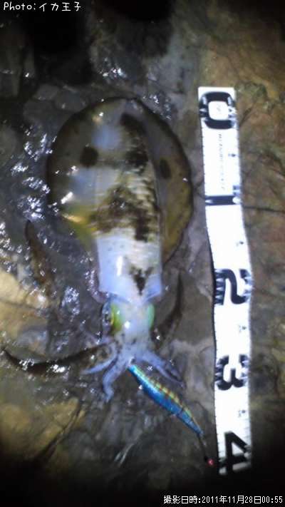 �����ꥤ��