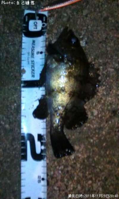 ��Х�ʡ��ޢ��ޡ���