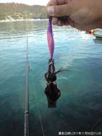 �����ꥤ��