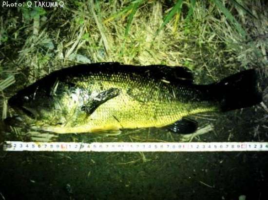 �֥�å��Х�