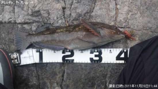 �����ʥ�