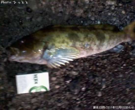 �����ʥ�