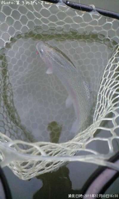 �쥤��ܡ��ȥ饦��