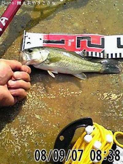 �֥�å��Х�